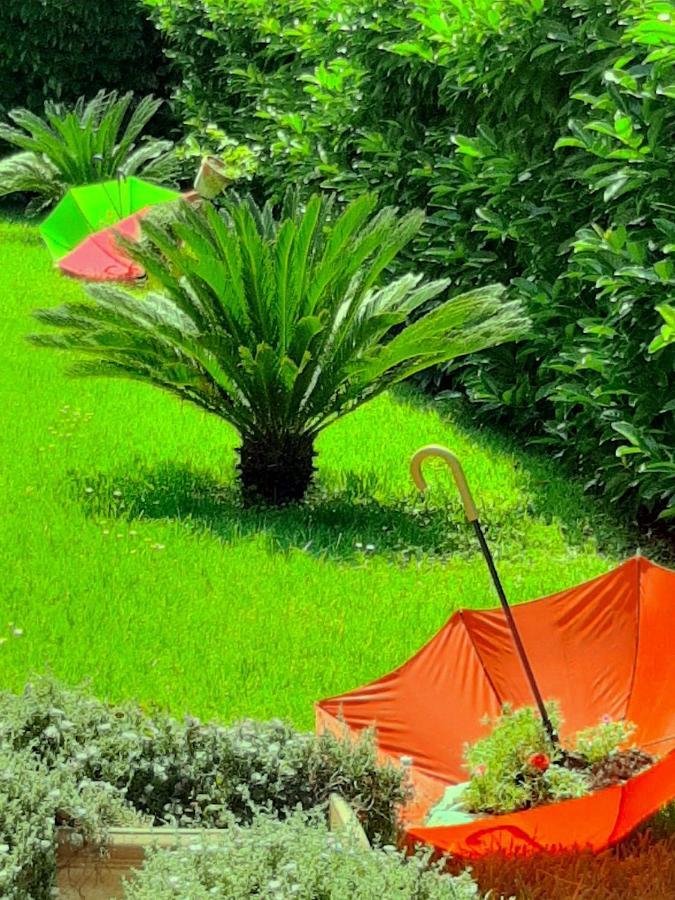 B&B Le Camerette Di Edda Cassino Buitenkant foto